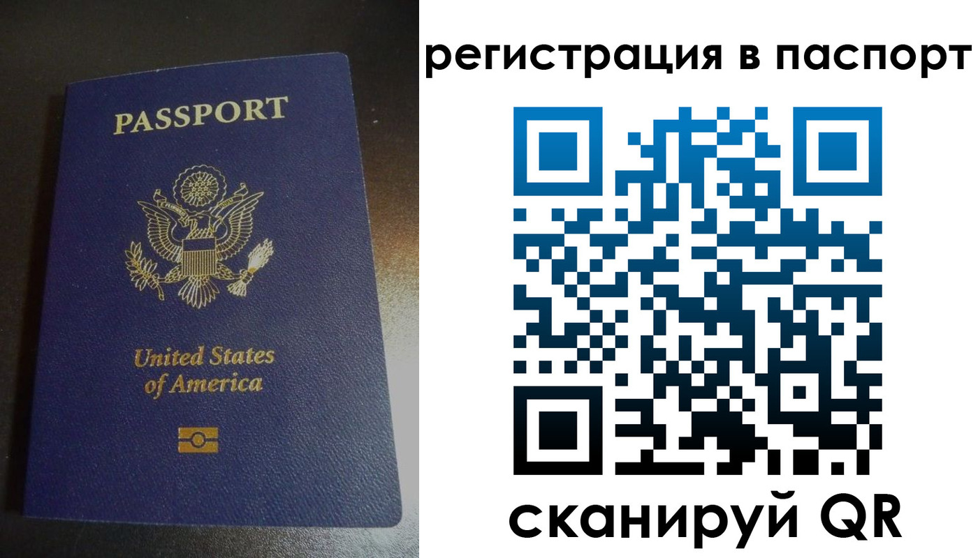 прописка для школы в Волоколамске